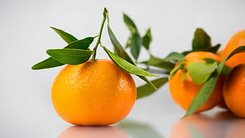 oranžové plody, oranžový, ovoce, stůl, listy, čerstvý, citrus, zdravý, oranžová barva, jídlo a pití, list