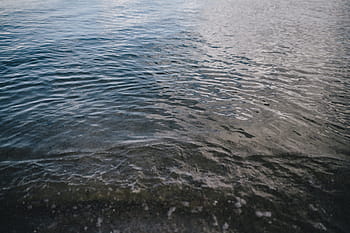 バルト海、 海、 水、 波、 自然、 背景、 リップル、 水面、 人なし、 川、 反射