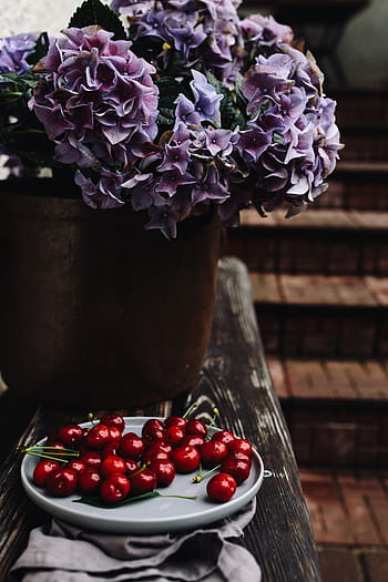 simple, placa, Fresco, Cerezas, frutas, alimentos, saludable, rojo, cereza, estacional, frescura