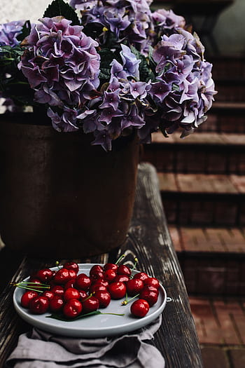 buah-buahan, makanan, sehat, merah, musiman, Segar, Ceri, sederhana, piring