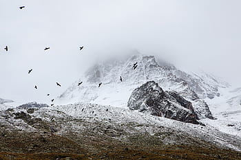nature, landscape, mountain, clouds, sky, fog, bird, travel, adventure, trek, hike