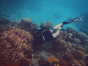 person scuba diving, nature, landscape, ocean, sea, beach, vacation, travel, adventure, diving, corals