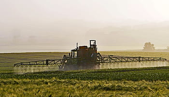 zelené louky, zemědělství, ochrany rostlin, mlha, výložník, pesticidní, ječmen, pole, cereálie, hubení škůdců, optimalizace