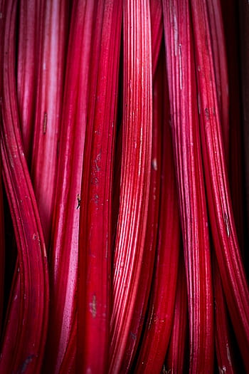sweet candy sticks, rhubarb, fruit, pink, red, fresh, food, sweet, summer, dessert, vegetarian