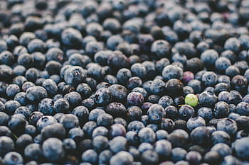 closeup, blue, berries, fruit, round, blueberries, green, violet, berry, food, harvest