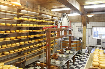 sýr, Mléčné výrobky, Výroba, sýr mlékárna, produkce sýrů, sýry, jídlo a pití, uvnitř, velká skupina objektů, pekařství, potravinářského a nápojového průmyslu