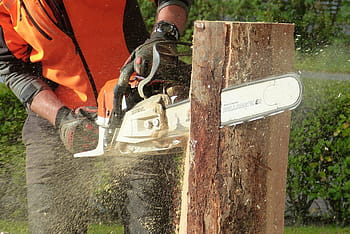man, using, chainsaw, cutting, tree log, wood, tree, artwork, sculpture, cases, wood art