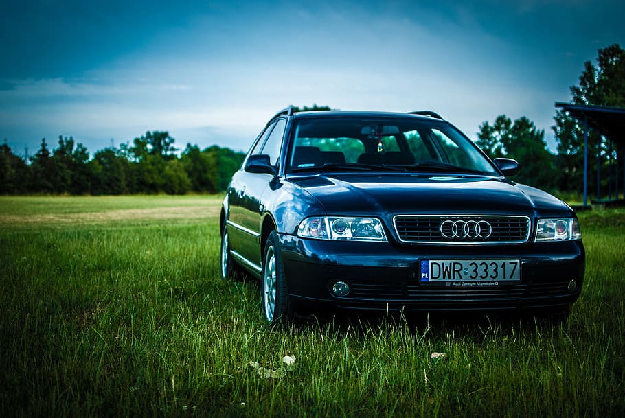 audi, a4, louka, auto, nebe, tráva, audi, a4, doprava, vozy, cestovní ruch, světlo