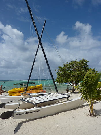 guadeloupe, boat, beach, blue, sand, sea, browse, sun, summer, vacations, nature