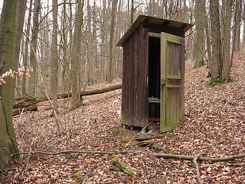hnědý, dřevěný, sklad, toaleta, veřejný záchod, starý, staré WC, dřevo, žena, muž, les