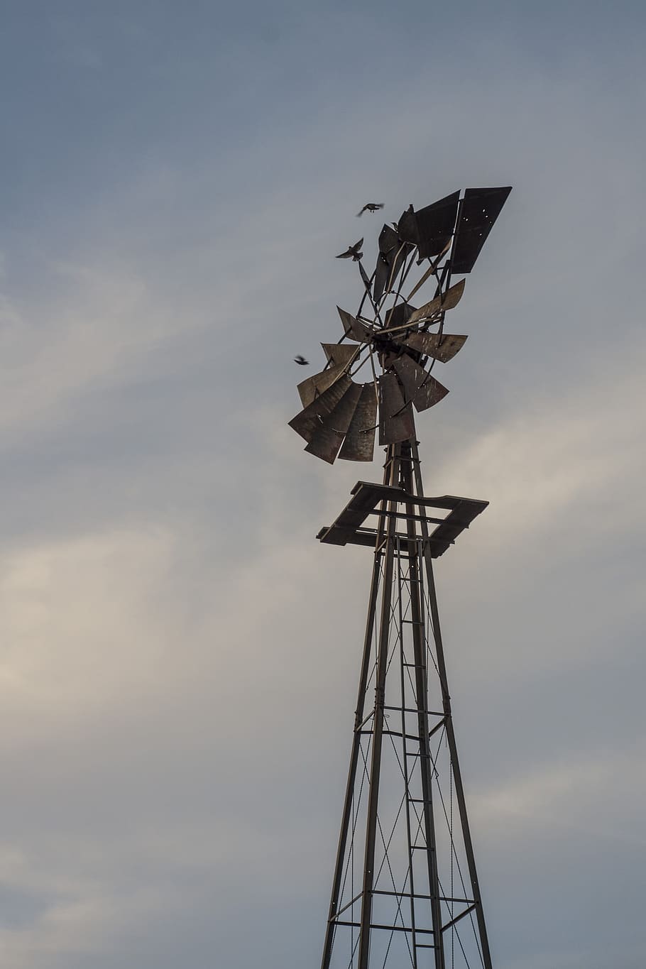nebraska, windmill, birds, sky, agriculture, farm, wind, autumn, fall, rural, agricultural