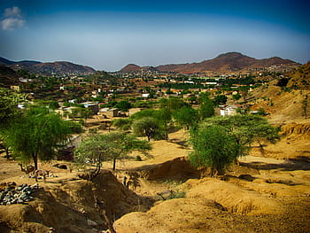grøn, bladede, træer, klar, blå, himmel, ghinda, Eritrea, landskab, naturskøn, ørken