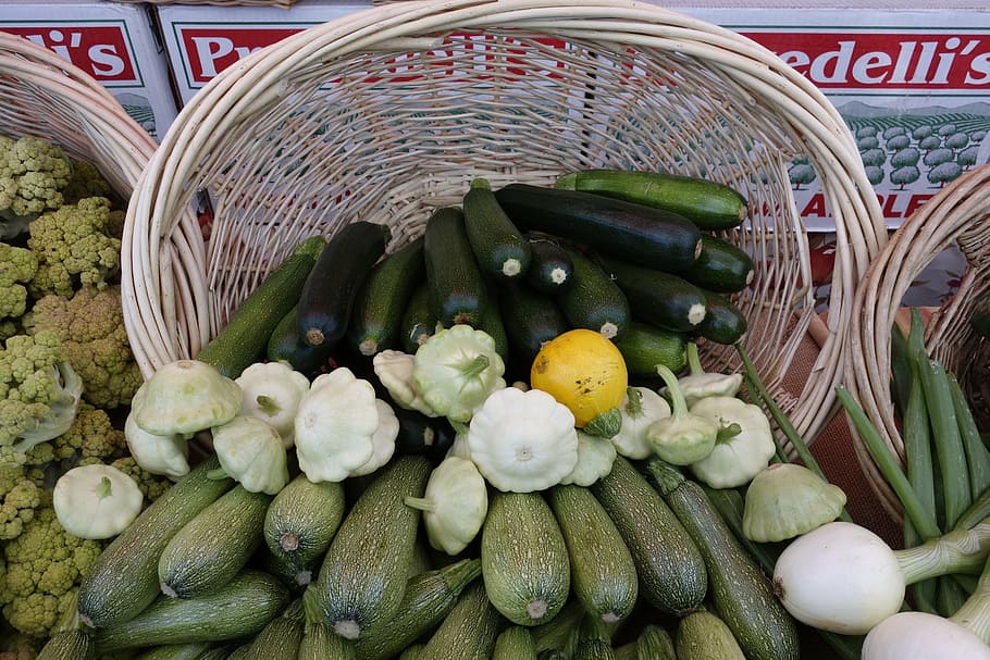 basket, harvest, zucchini, food, vegitables