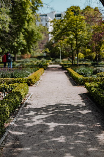 botani, taman, jardin nyata, musim semi, alam, Eropa, perjalanan, Nyata, Jardin, Botanico, Madrid