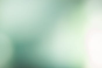 clean, background, blur, green, soft, clean background, light, color background, soft background, bright, blurred