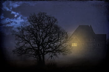 bezlistý strom, v noci, ponurý, temný, mystický, noc, strom, měsíc, úplněk, mlha, hrůza