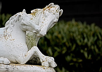 two, white, horse statuettes, green, leafed, plant, horses, sculpture, figure, art, horse head