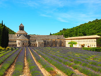 abbaye de sénanque, อาราม, วัด, notre dame de sénanque, คำสั่งของซิสเตอร์เรียน, dormitorium, วัดคริสตจักร, กุฏิ, calefactorium, ห้องพี่น้อง, โรงรับประทานอาหารในสถานที่ศาสนา