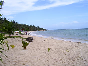 person, walking, beach, colombia, san andres islas, ocean, sun, sea, caribbean