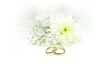 pair, gold-colored engagement ring, white, flowers, wedding, rings, marry, gold, jewellery, romance, deco