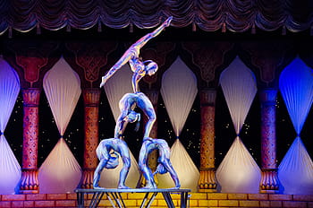 four, acrobats, performing, brown, wooden, bench, circus, contortion, tihany