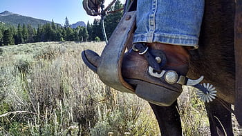 bota marrón, vaquero, caballo, bota, espuelas, silla de montar, estribo, occidental, animal, jinete, equitación