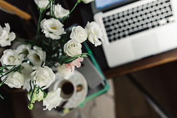 bekerja, laptop, kantor rumah, Wanita, di rumah, kantor, ruang kerja, tempat kerja, komputer, macbook, kopi