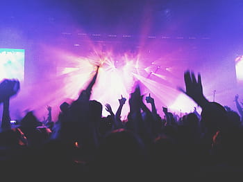 people, party, raising, hands, concert, music, crowd, dancings, dancers, moshpit, mosh pit