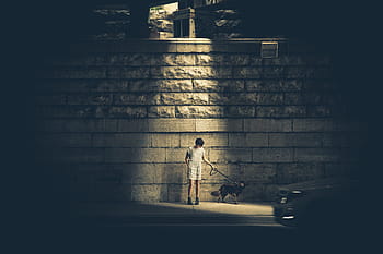 kişi, ayakta, ön, beton, duvar, tutma, köpek, tasma kayışı, boyunca, yan, yol