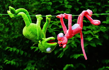 kermit, panter hangup, zelená, řetězec, růžový, žába, vyjít si, plyšové hračky, růžový panter, hračky, zábava