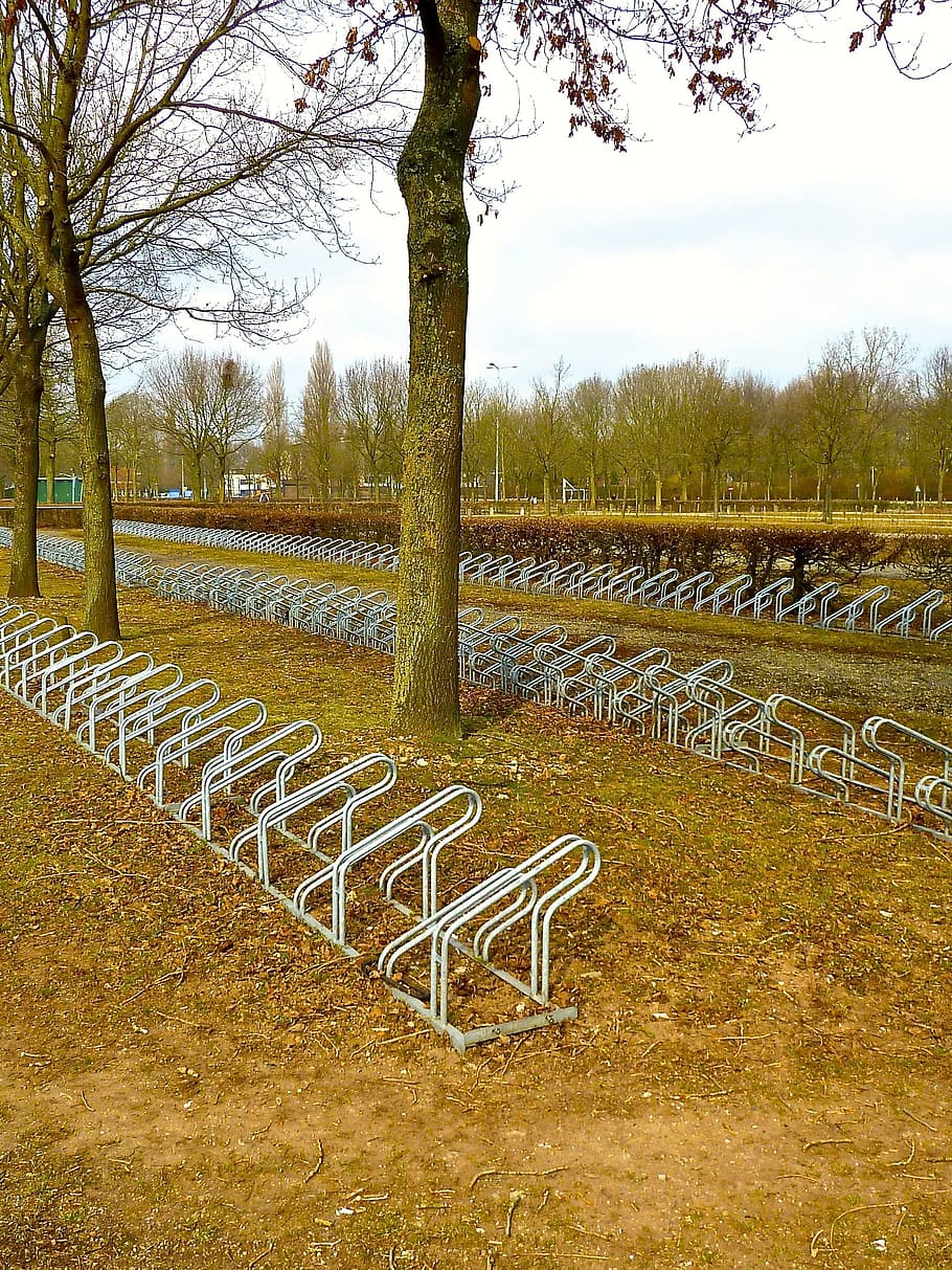 Bike Rack, Parking, Transportation, rack, transport, park, urban, cycle, metal, tree, chair
