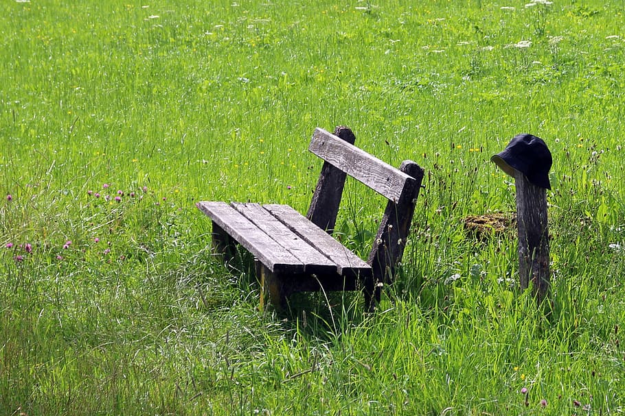 lavice, banka, sedadlo, sedět, odpočinek, Příroda, ven, klikněte, přestávka, relaxovat, dřevěné lavice