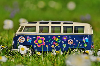 blu, bianca, volkswagen, genere, 2, pressofuso, modello, verde, erba, campo, superficiale