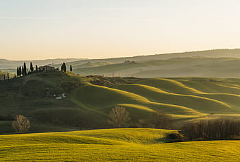 panoramico, fotografia, verde, campo, alberi, Toscana, sole, paesaggio, tramonto, arancia, val d'orcia