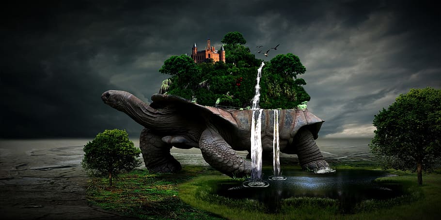 tortoise, island, back, illustration, turtle, oasis, desert, waterfall, waterfalls, lake