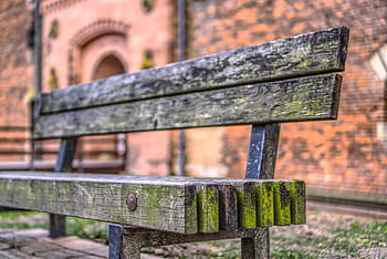 bank, park, park bench, sit, sit down, old, wood, grain, pattern, wooden structure, close up