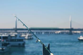 ちょうど釣り、 釣り、 湾、 海、 航海船、 水、 イスタンブール、 港、 輸送、 トルコ-中東、 空