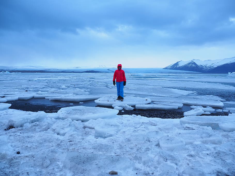 jokulsarlon, ledovcové jezero, ledovec, ledovcový jazyk, otelících ledovců, ledové kry, Island