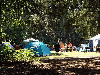 people, camping tents, green, trees, daytime, group of people, tents, camp, forest, summer, holidays