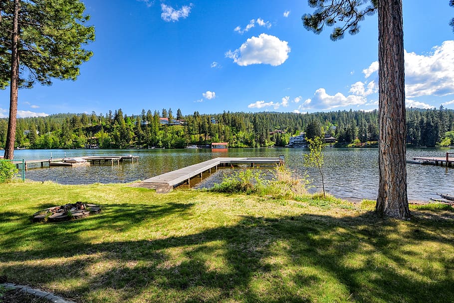 fiume, bacino, erba, barca, all'aperto, molo, sul fiume, sport, golf, albero, corso di golf