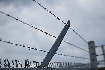 barb wire, ostnatý drát, plot, bezpečnostní, drát, bariéra, překážka
