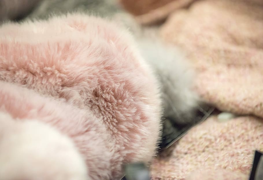 moda, rosa, caldo, pelliccia, morbidezza, lana, soffice, avvicinamento, montone, animale, un animale