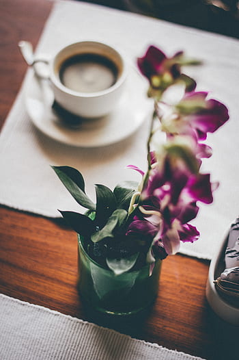 dining, table, coffee, blur, flower, vase, display, placemar