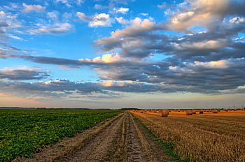 green, brown, fields, day time, nature, landscape, field, agriculture, cereals, straw, clouds
