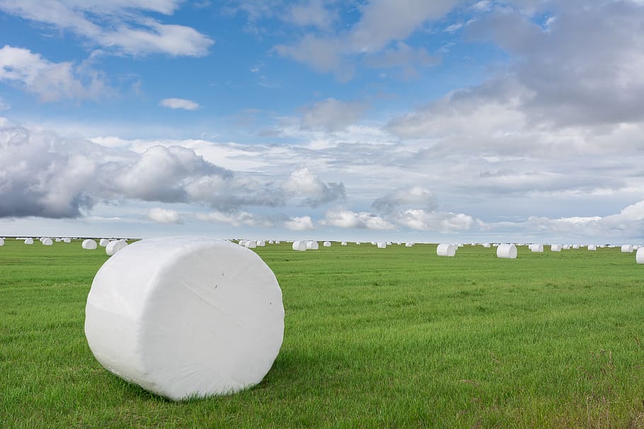 Hay, rolls, Iceland, landscape photography of grassland