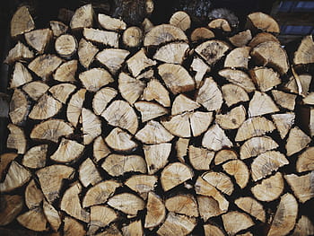 pile of firewoods, wood, brown, cuts, collection, trees, trunk