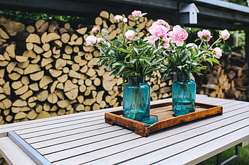 verano, flores, jardín, flora, exterior, soleado, floral, madera, primavera, troncos, bandeja