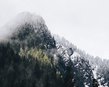 montagna, coperto, la neve, aereo, fotografia, montagne, colline, freddo, inverno, alberi, foresta