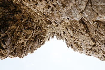 untitled, rocks, soil, landscape, nature, tree, backgrounds, brown, wood - Material, bark, pattern