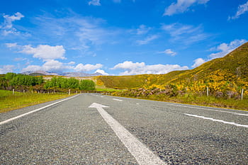 asphalt road, trees, road, street, travel, adventure, grass, plant, mountain, trek, bird